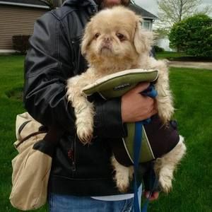 Meet your Posher, David